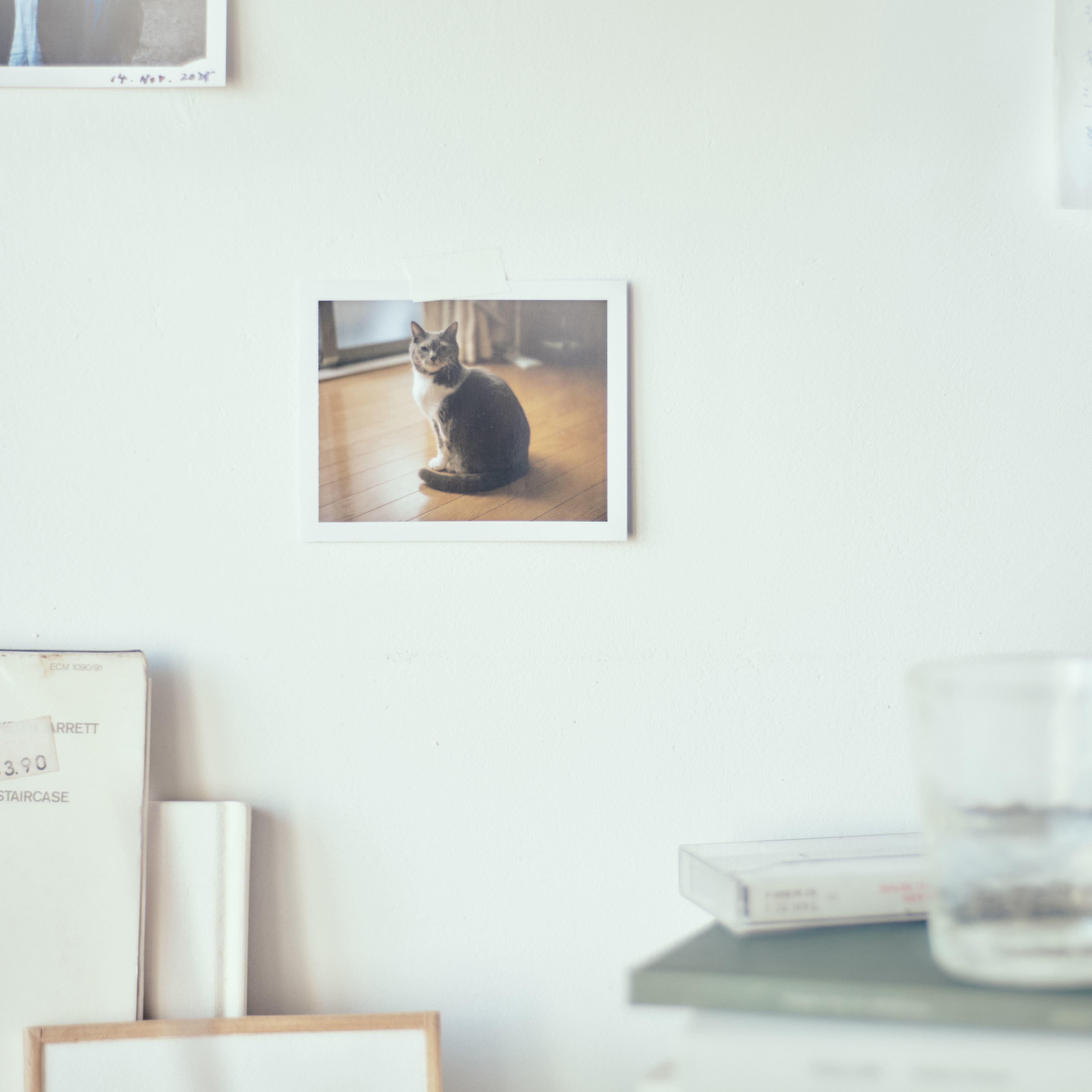 odol_slow blink_jacket S (1).jpg